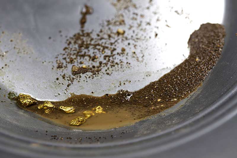 golden camino gold extracción